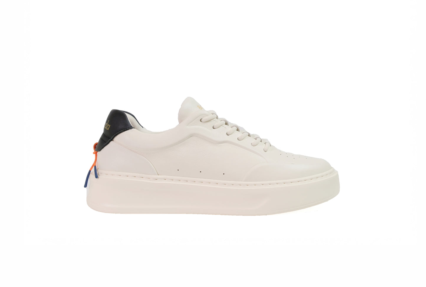 Sneakers Phoenix “Barracuda”