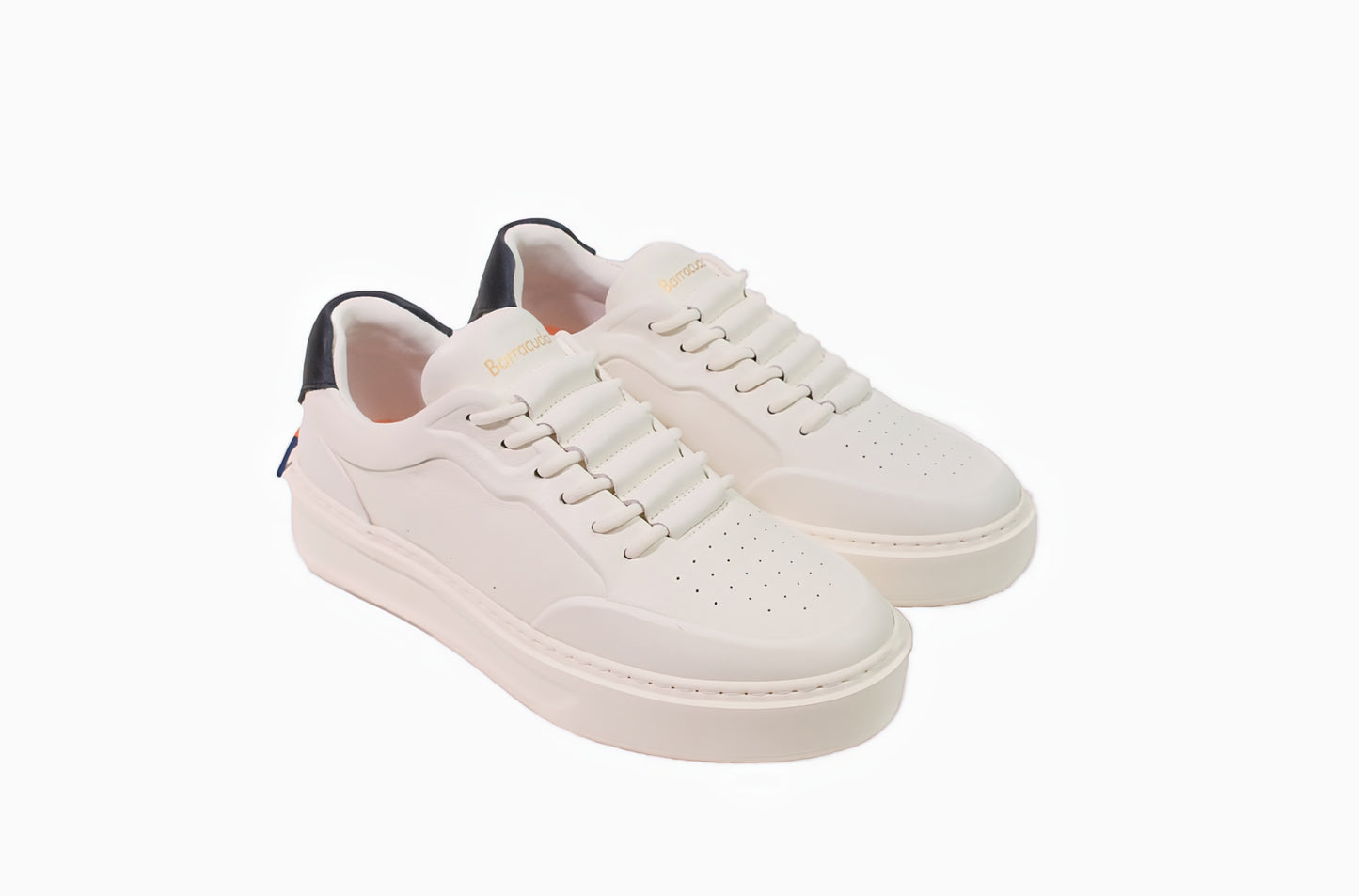 Sneakers Phoenix “Barracuda”