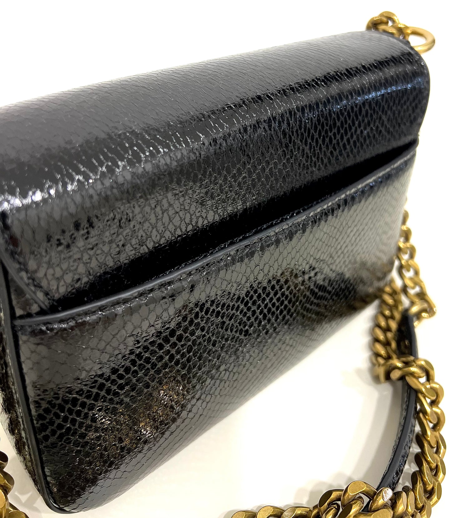 Range g gothic belt “Just Cavalli”